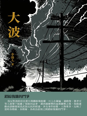 cover image of 大波